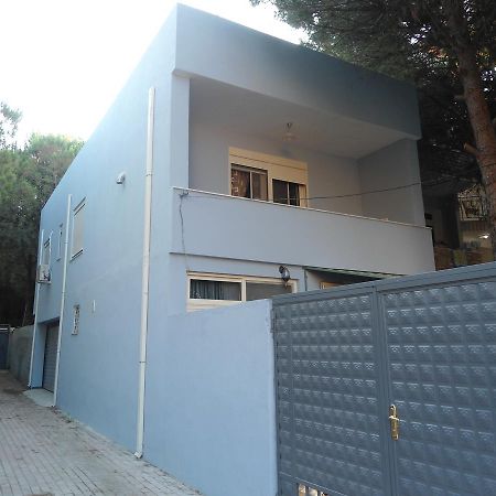 Vacation Home Dibra Velipojë Dış mekan fotoğraf